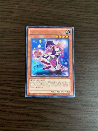 マドルチェ・マジョレーヌ レア