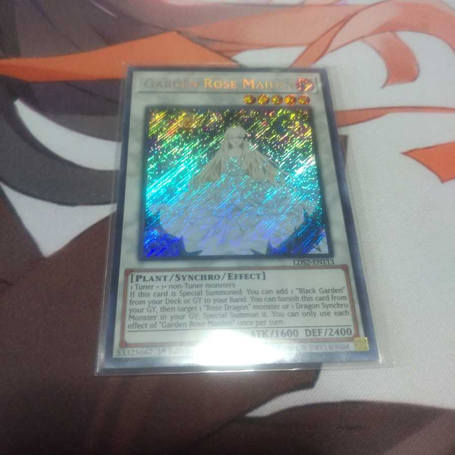 英語　ガーデン・ローズ・メイデン　シークレット