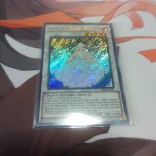 英語　ガーデン・ローズ・メイデン　シークレット