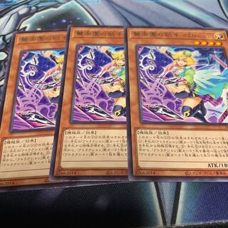 Surprise Paradise Assistant <Delia> Rare