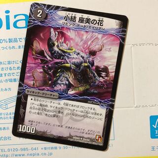 小結 座美の花｜雲龍 ディス・イズ・大横綱(下)