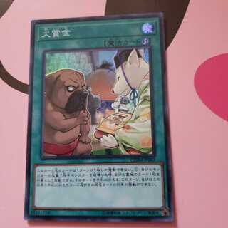 犬賞金 スーパーレア