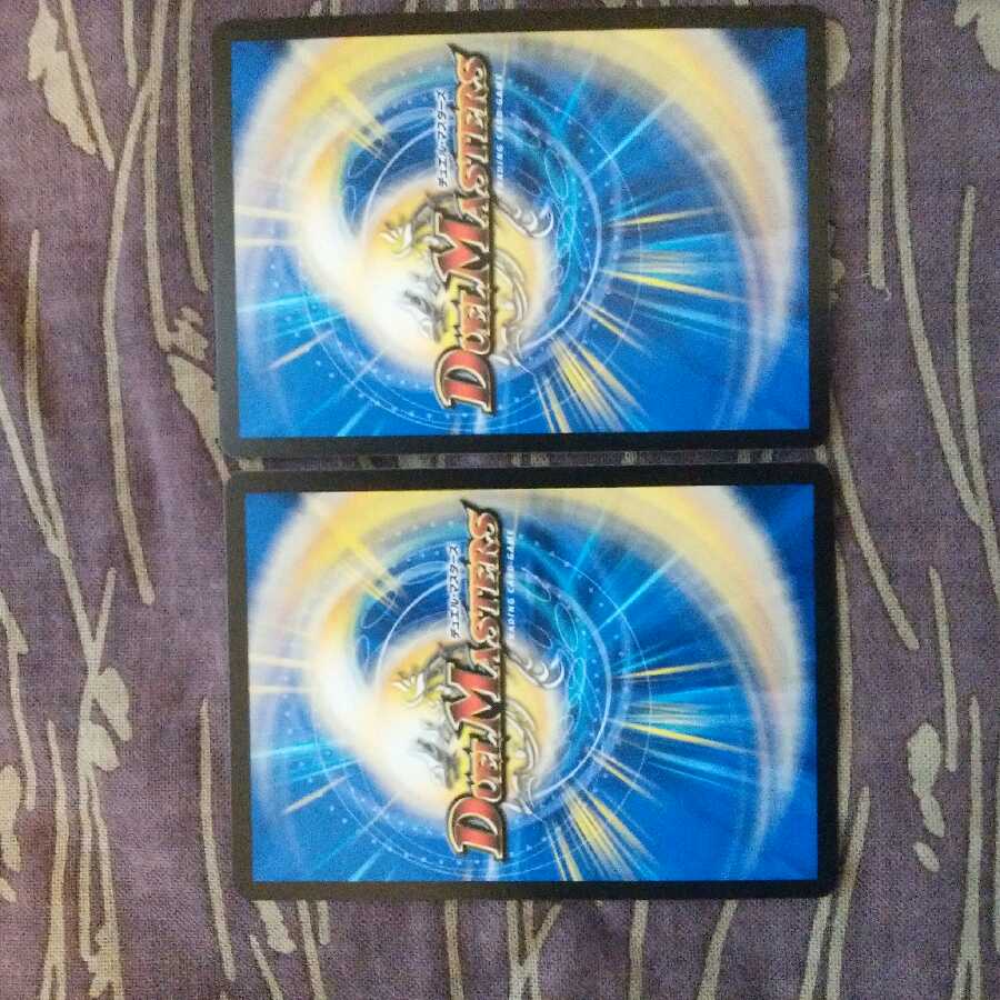 2枚 龍風混成 ザーディクリカ