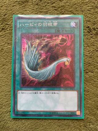 ハーピィの羽根帚 ミレニアム