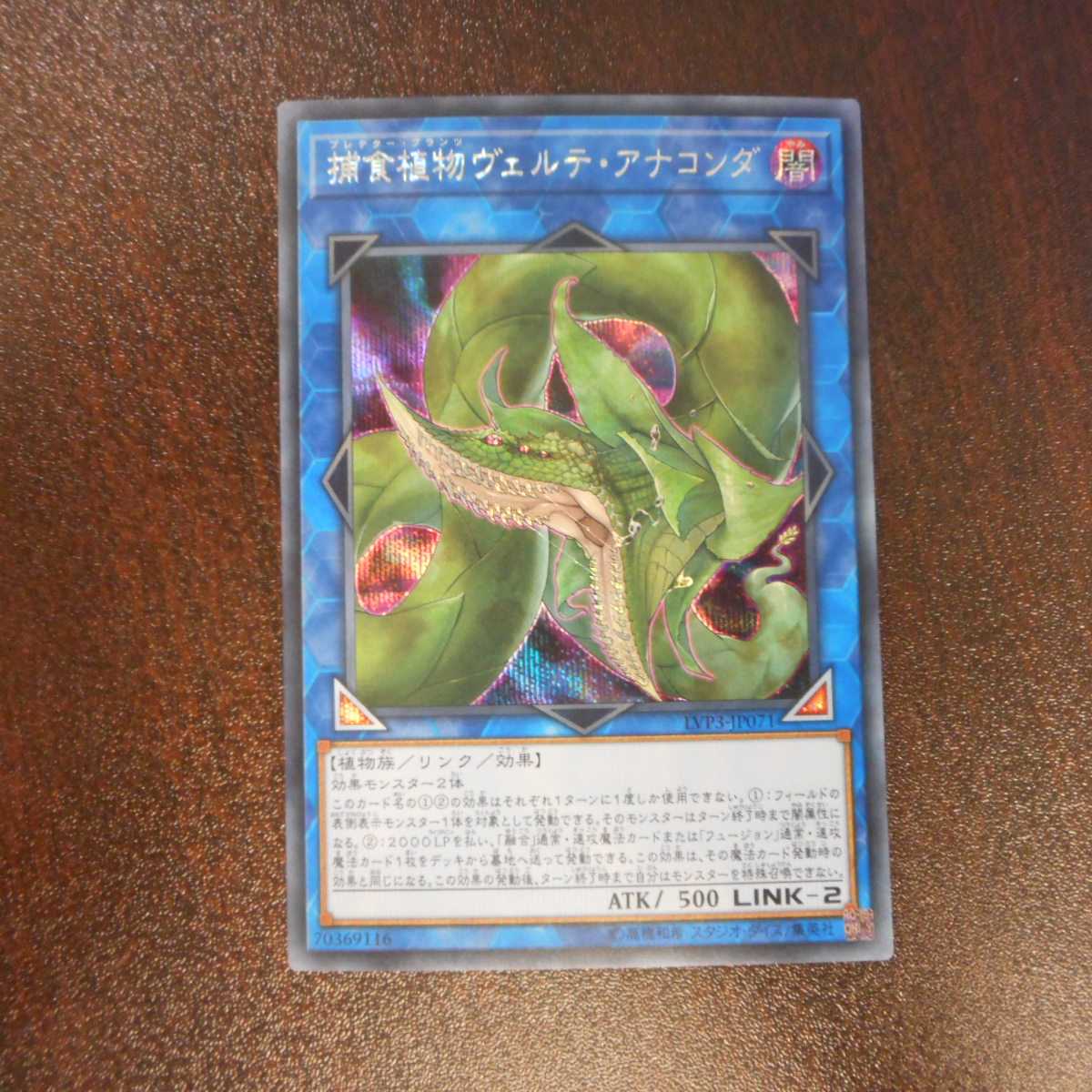 （美品）捕食植物ヴェルテ・アナコンダ　シークレットレア