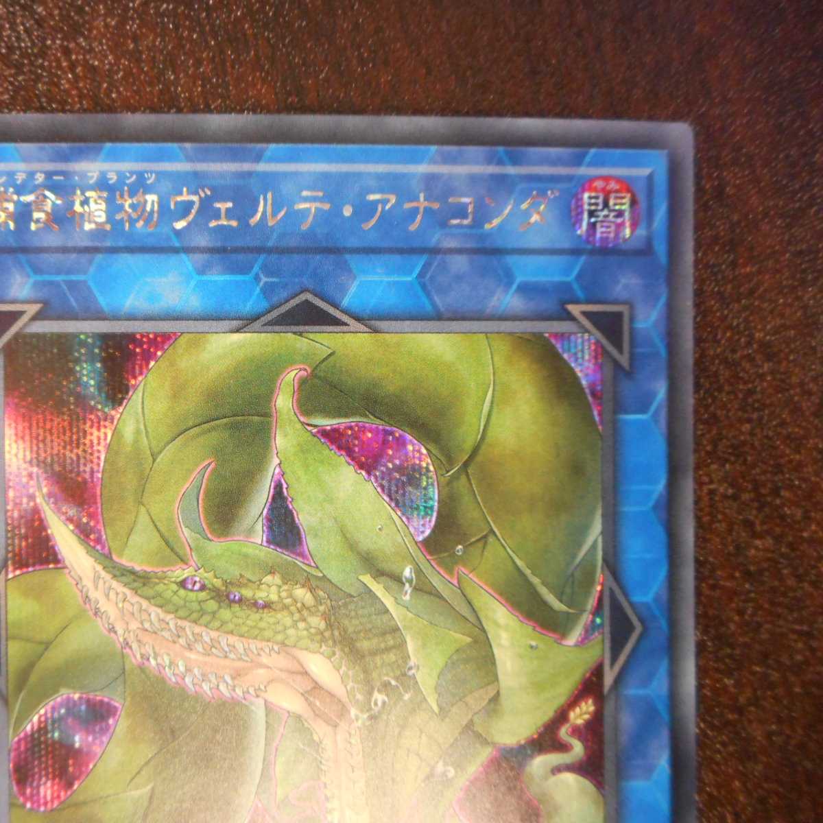 （美品）捕食植物ヴェルテ・アナコンダ　シークレットレア