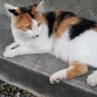 Exclusive Exhibit Upheaval