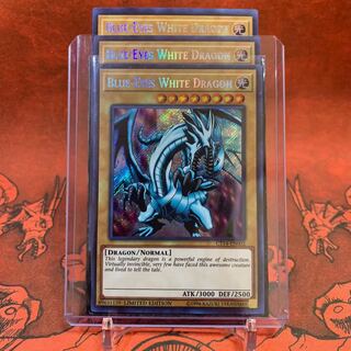 遊戯王【英語版】青眼の白龍 シク 3枚セット
