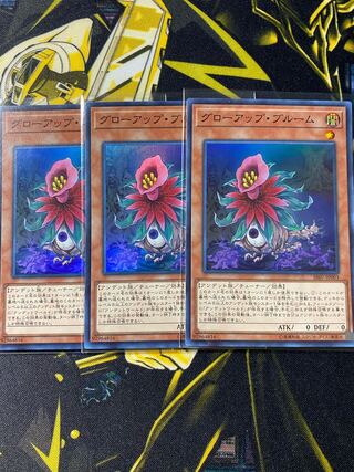 グローアップ・ブルーム スーパーレア３枚 遊戯王