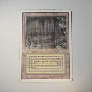 【値下】Bayou(リバイズド)