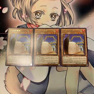 Gunkan Suship Shari Rare