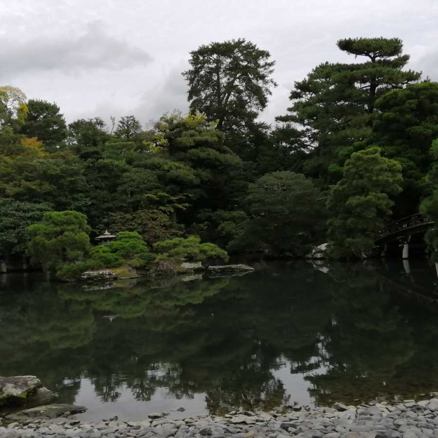 めろん様専用出