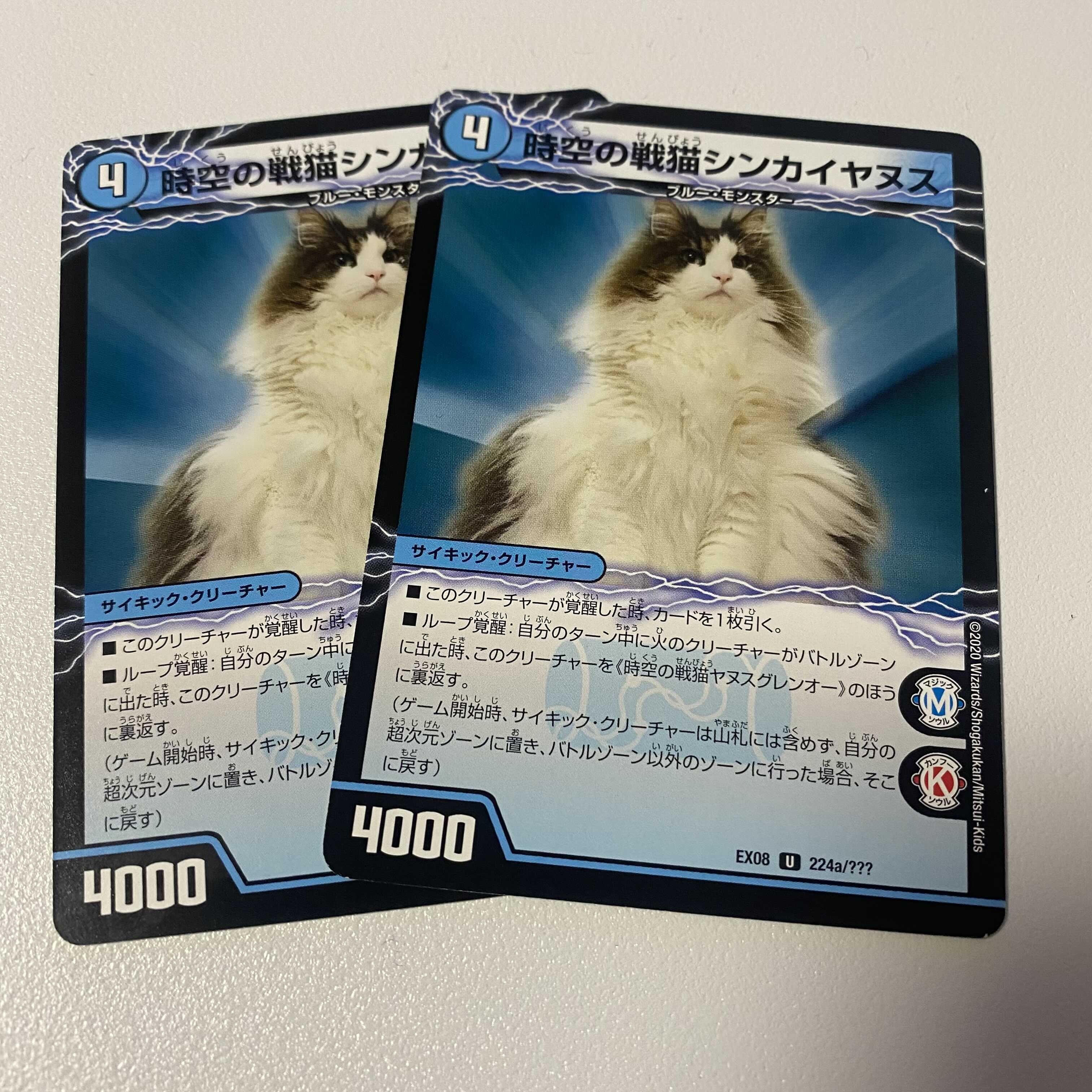 時空の戦猫シンカイヤヌス|時空の戦猫ヤヌスグレンオー2枚