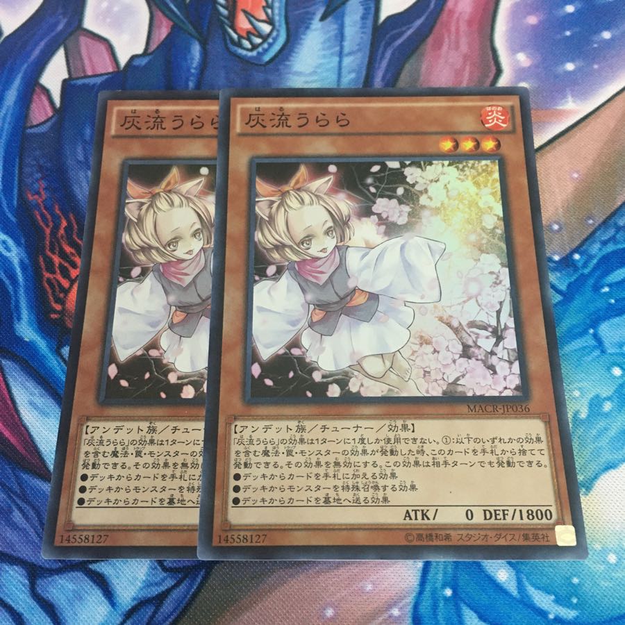 灰流うらら スーパー 2枚セット