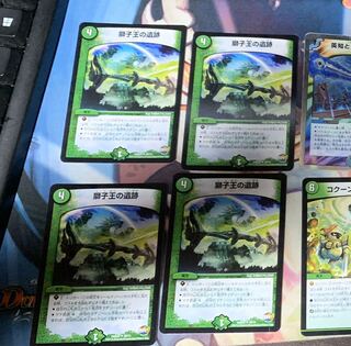 獅子王の遺跡　トレカキング様専用