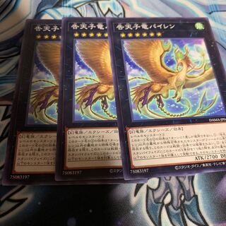 告天子竜パイレン ノーマル