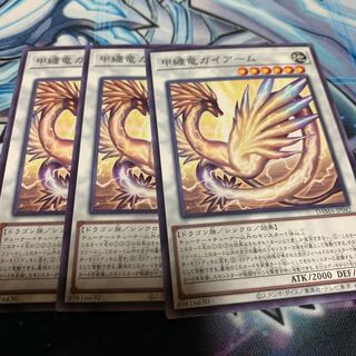 甲纏竜ガイアーム ノーマル