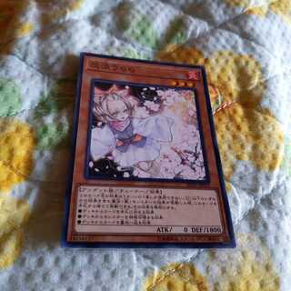 遊戯王 灰流うらら ノーマル