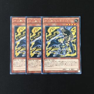 専用(二点)i203 十二獣モルモラット レア トレトレ