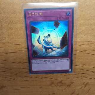 【遊戯王】白の咆哮