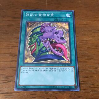 強欲で貪欲な壺 ノーマル