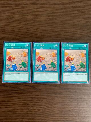 化石調査 ノーマル　3枚セット