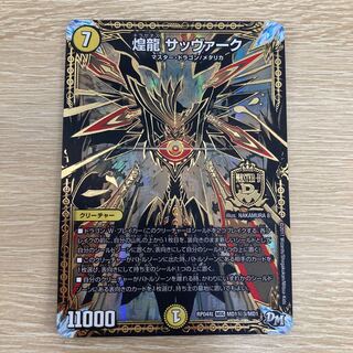 煌龍 サッヴァーク