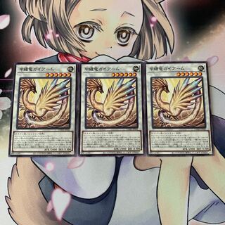 甲纏竜ガイアーム ノーマル