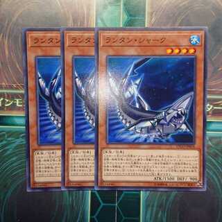 ランタン・シャーク ノーマル