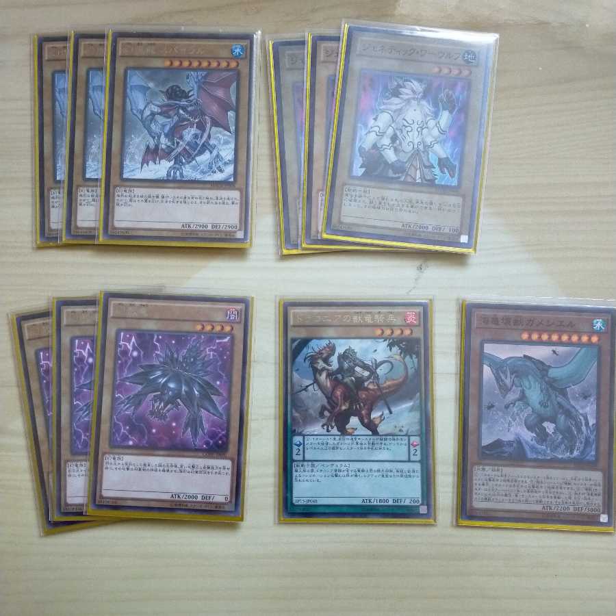 幻煌龍×バージェストマ デッキ