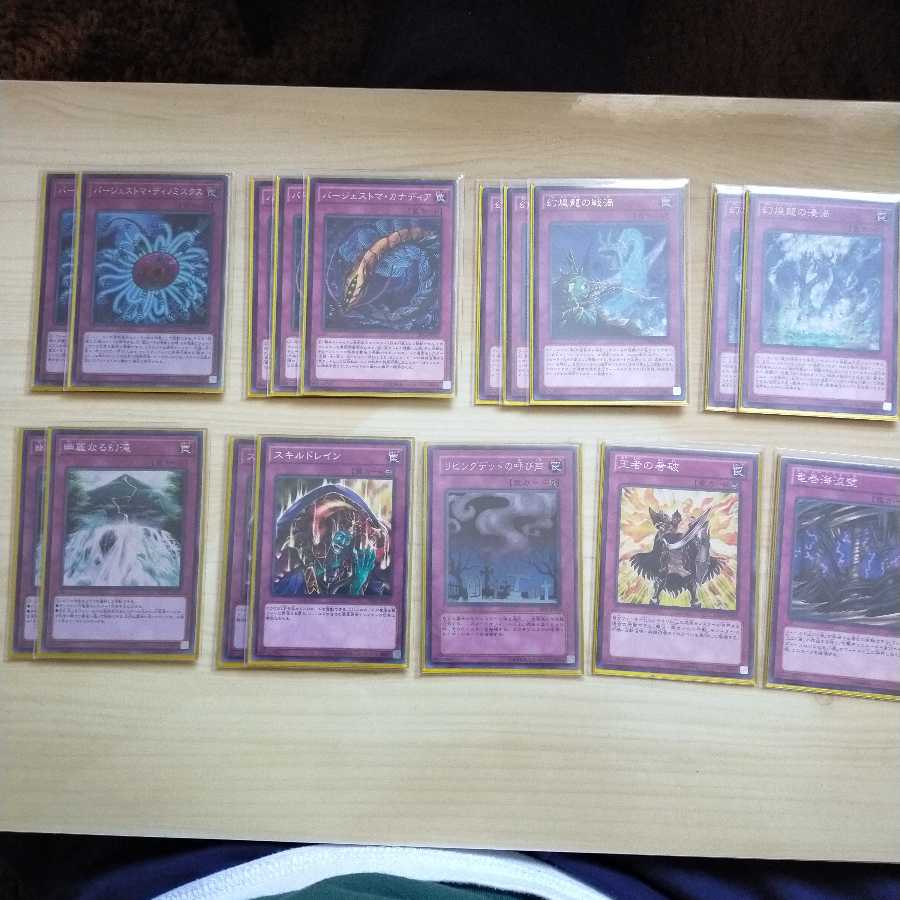 幻煌龍×バージェストマ デッキ