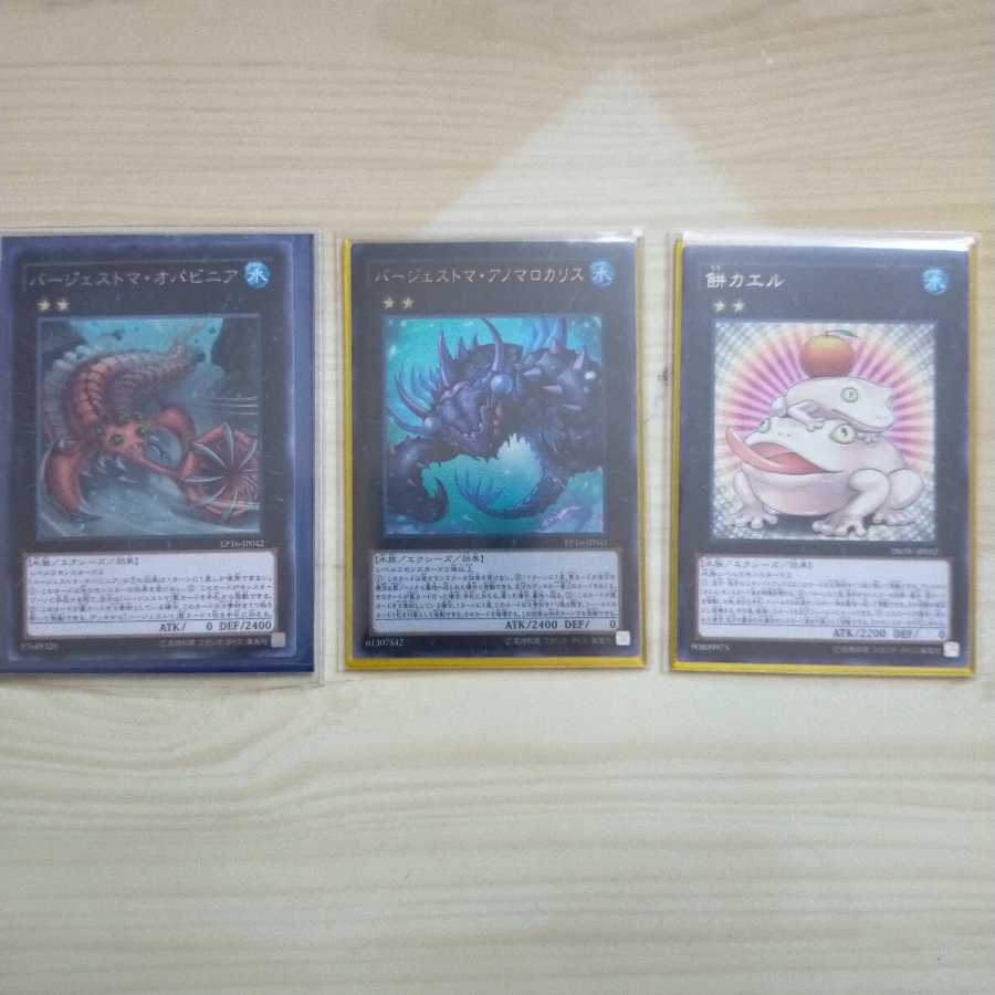 幻煌龍×バージェストマ デッキ