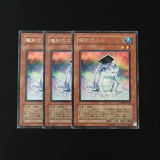 i224 魔知ガエル レア 3枚セット 遊戯王 トレトレ