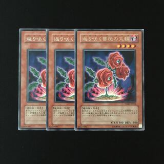 i229 Revival Rose Rare 3 piece set Yu-Gi-Oh!