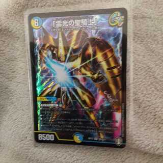 「雷光の聖騎士」