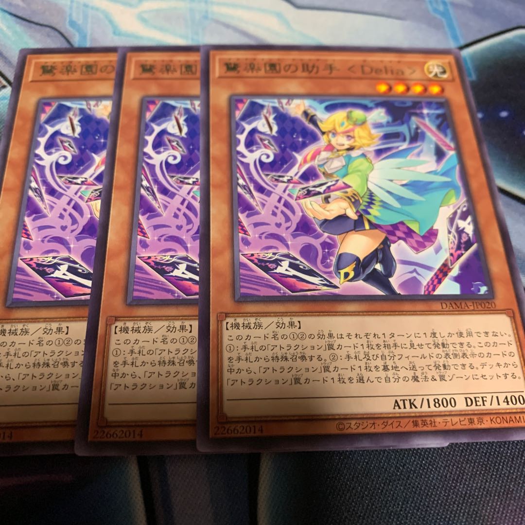 Surprise Paradise Assistant <Delia> Rare