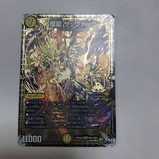 煌龍 サッヴァーク