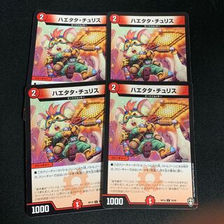 ハエタタ・チュリス