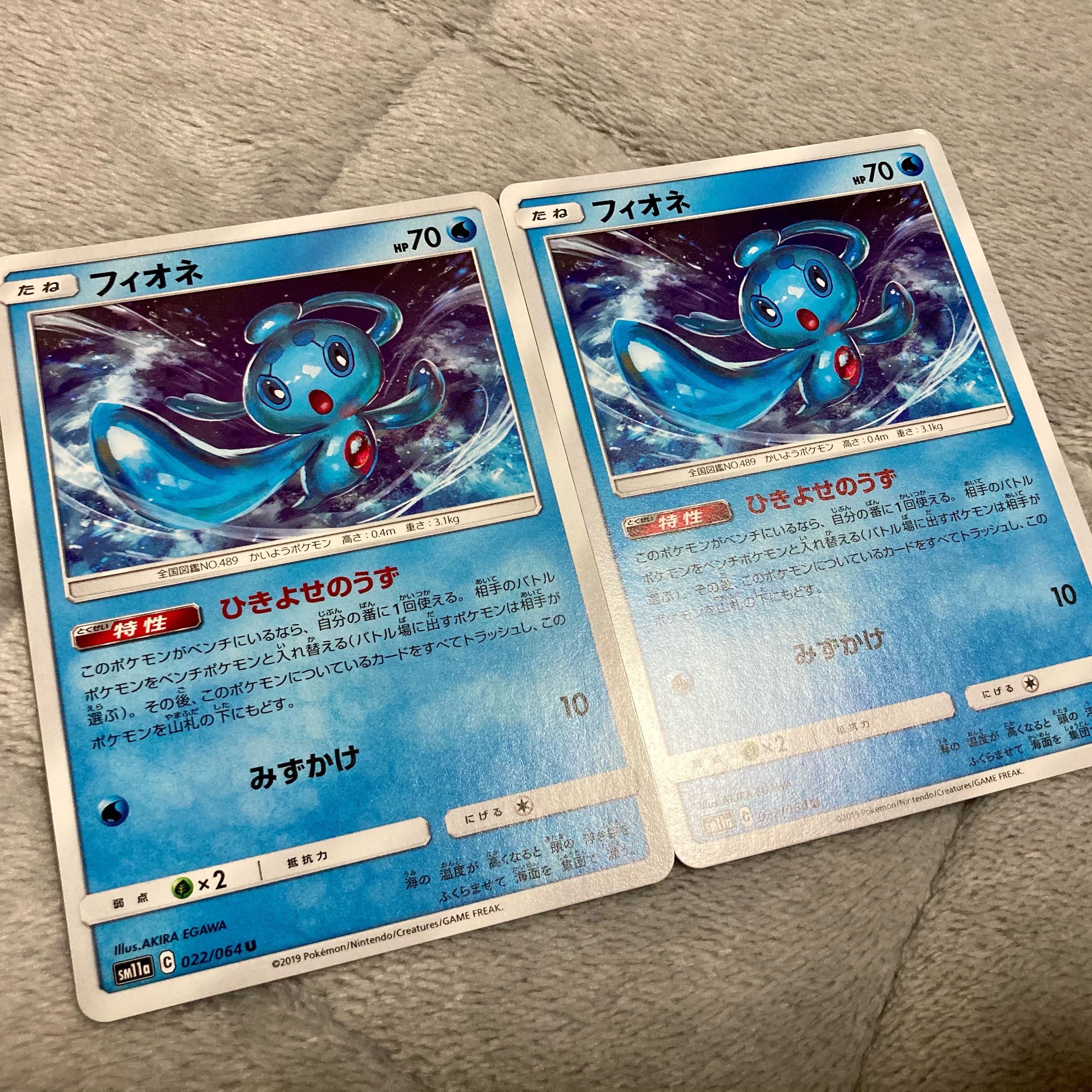 フィオネ 2枚セット ひきよせのうず