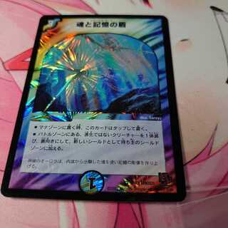 魂と記憶の盾(エターナルガード)