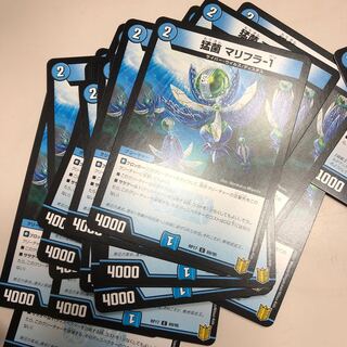 猛菌 マリフラ-1