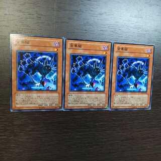 金華猫 ノーマル