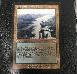 汚染された三角州　日本語版