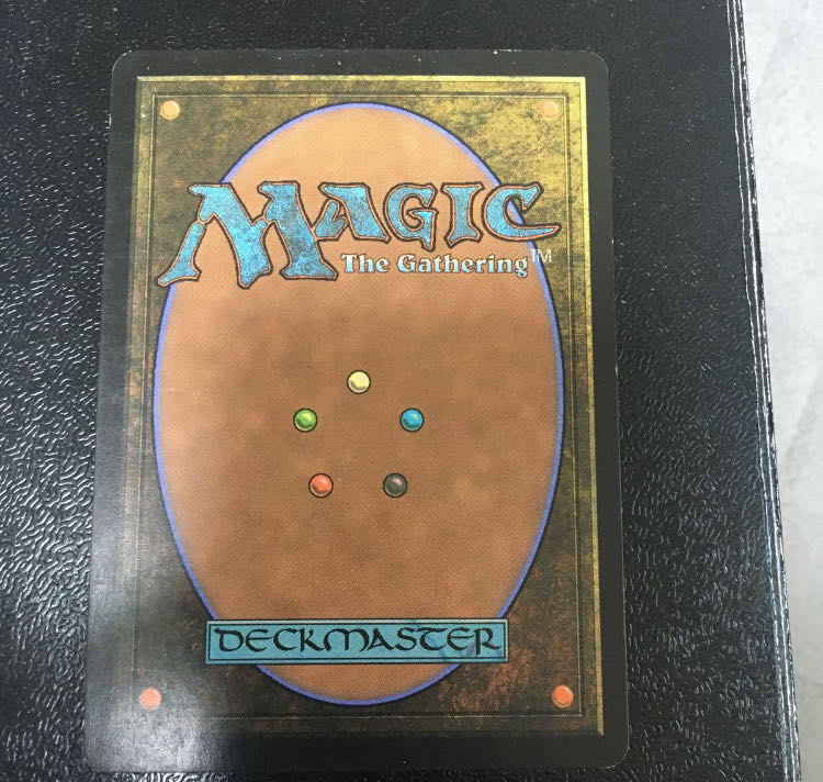 汚染された三角州　日本語版