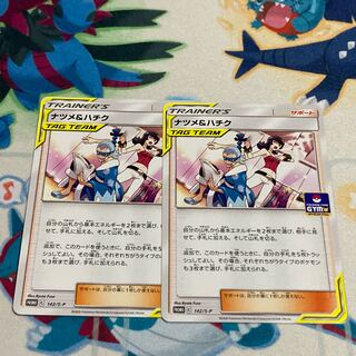 ナツメ&ハチク　2枚