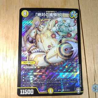 Knight of the Shield of the Absolute."