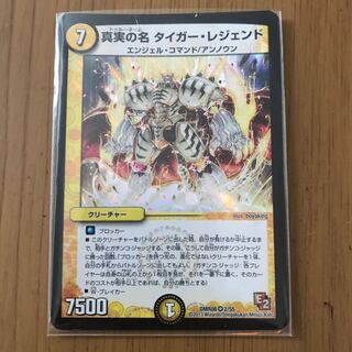 真実の名 タイガー・レジェンド