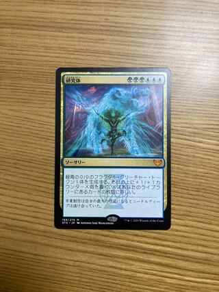 Body of Research STX