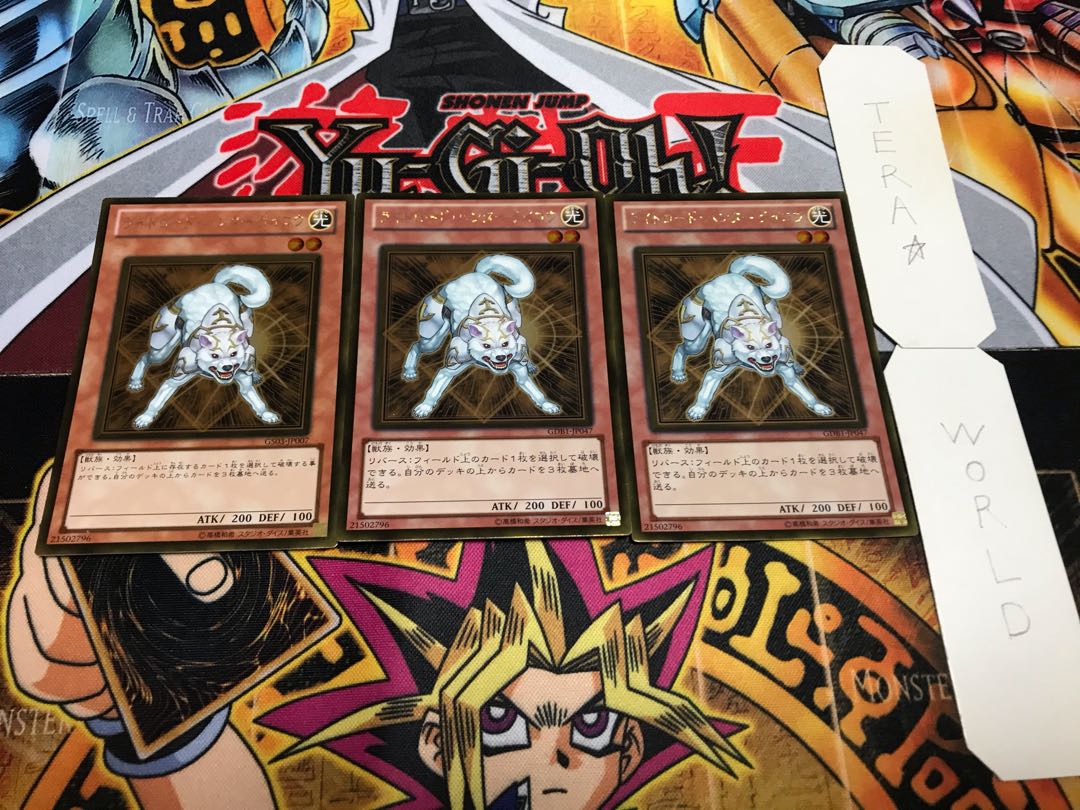 Ryko, Lightsworn Hunter gold, set of 3 tera