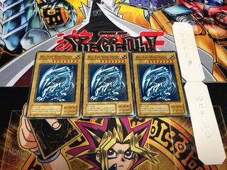 英語版 青眼の白龍 ノーマル 3枚セット てら